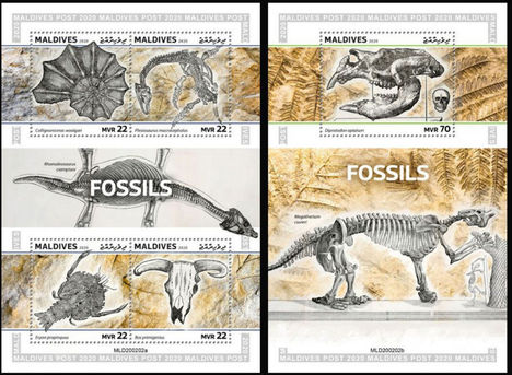Fosszíliák