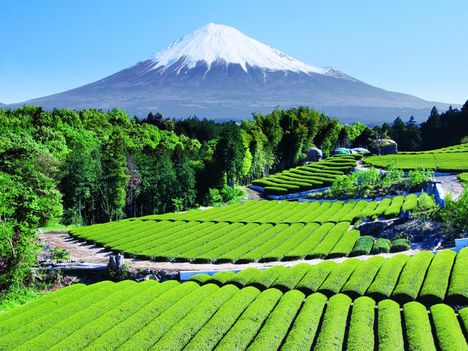 Fuji csodálatos természet