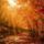 Schvalm_rozsaketezer_husz_osze_2131110_4221_t