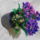 Kulonleges_hortenzia_2132454_6512_t