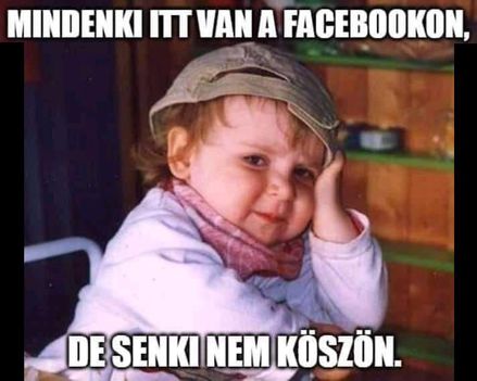 Köszönés!