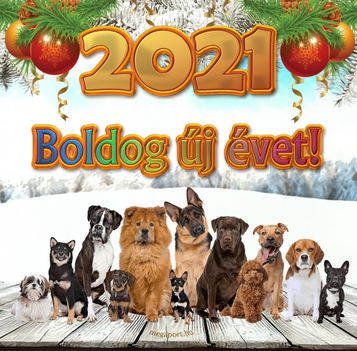 thumb_boldog-uj-evet-2021-kutyak-3028964668