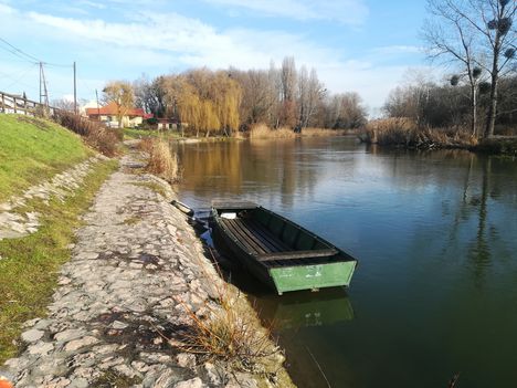 Mosoni-Duna folyó a mosoni, Rév utca melletti szakaszon, Mosonmagyaróvár 2020.01.11 1