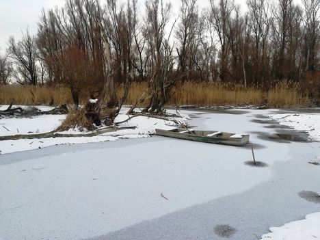 Öregszigeti tó, Kisbodak 2021.01.16-án 2