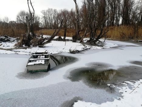 Öregszigeti tó, Kisbodak 2021.01.16-án 4