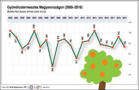 Gyümölcstermesztés19