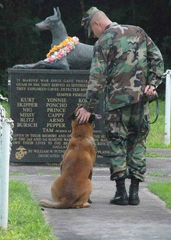 Háborús Kutya Emlékmű- azon kutyák emlékére, akik az Egyesült Államok Tengerészgyalogságának szolgálatában lelték halálukat 1944-ben a Guami csatában !