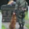 Háborús Kutya Emlékmű- azon kutyák emlékére, akik az Egyesült Államok Tengerészgyalogságának szolgálatában lelték halálukat 1944-ben a Guami csatában !