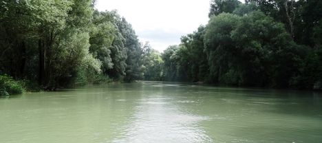 Agg-Duna alsó szakasza, Kisbodak 2016. július 14.-én