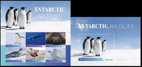 Antarktisz állatai