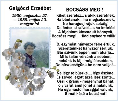 BOCSÁSS MEG