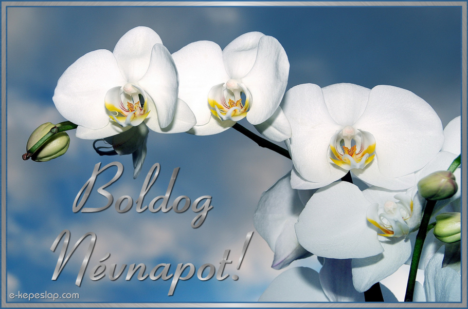 Erdélyi keresztények: Boldog névnapot kívánok minden ...