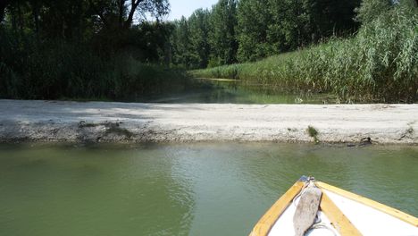 Felső-Jakabi zárás a Cikolai ágrendszerben, Szigetközi hullámtéri vízpótlórendszer, Dunasziget 2016. július 26.-án 1