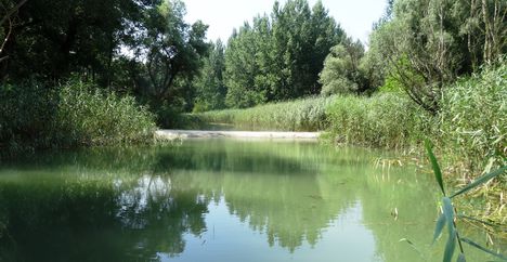 Felső-Jakabi zárás a Cikolai ágrendszerben, Szigetközi hullámtéri vízpótlórendszer, Dunasziget 2016. július 26.-án 3