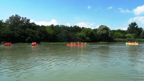 Görgetegi Duna-ág Szigetközi hullámtéri vízpótlórendszerben, Dunakiliti 2016. július 13.-án 1