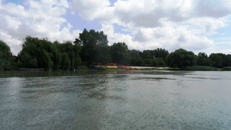 Görgetegi Duna-ág Szigetközi hullámtéri vízpótlórendszerben, Dunakiliti 2016. július 13.-án 2