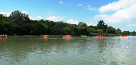 Görgetegi Duna-ág Szigetközi hullámtéri vízpótlórendszerben, Dunakiliti 2016. július 13.-án 3