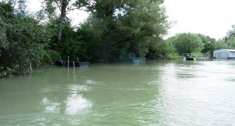 Görgetegi Duna-ág Szigetközi hullámtéri vízpótlórendszerben, Dunakiliti 2016. július 13.-án 4