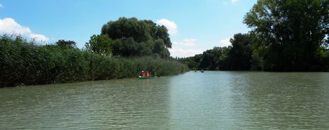 Görgetegi Duna-ág Szigetközi hullámtéri vízpótlórendszerben, Dunakiliti 2016. július 13.-án 6