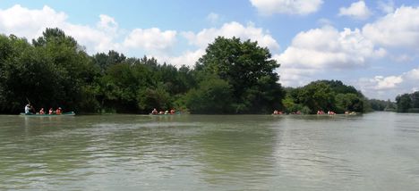 Görgetegi Duna-ág Szigetközi hullámtéri vízpótlórendszerben, Dunakiliti 2016. július 13.-án 7