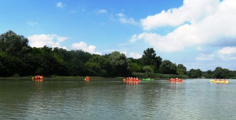 Görgetegi Duna-ág Szigetközi hullámtéri vízpótlórendszerben, Dunakiliti 2016. július 13.-án 8