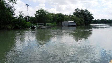 Görgetegi Duna-ág Szigetközi hullámtéri vízpótlórendszerben, Dunakiliti 2016. július 13.-án 9