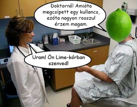 Lime-kór!