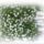 Novemberi_csoda_szebb_mint_a_nyaron_volt_imadni_valo_kis_virag_2013972_2709_t