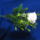 Egy_szalba_kotve_2141516_6861_t