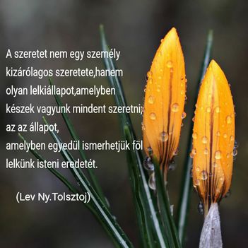 Idézet