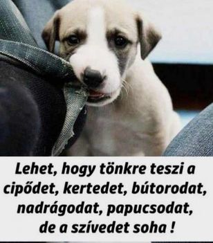 A postásoknak!