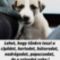 A postásoknak!