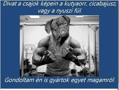 Divat !