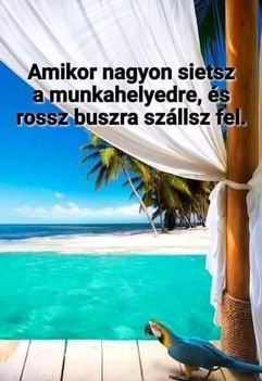 Előfordulhat!