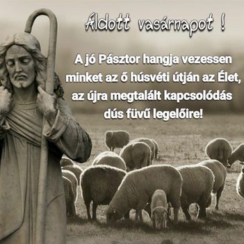 Én vagyok a jó pásztor.A jó pásztor életét adja juhaiért.(Jn.10,11)