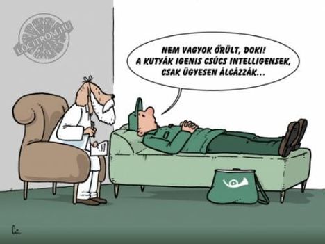 Kutyák!