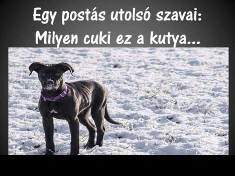Utolsó !