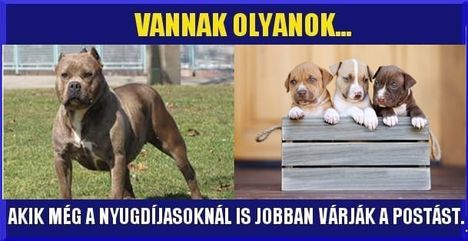 Várók !