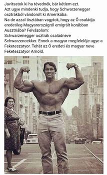 Arnold !