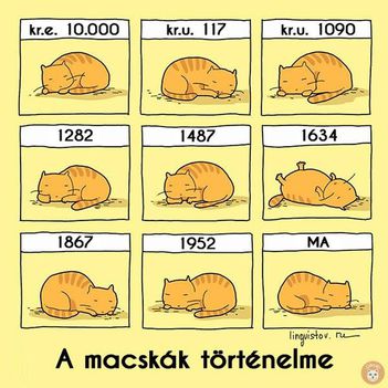 Történelem !