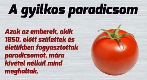 Gyilkos paradicsom !