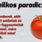 Gyilkos paradicsom !