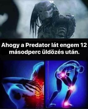 Predator !