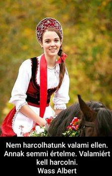Valamiért kell harcolnunk , forrás, Acient Hungary !