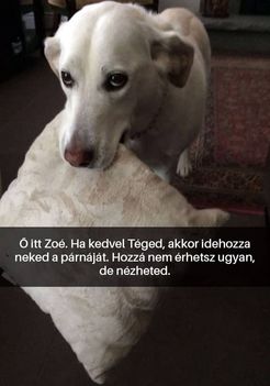 Zoé !
