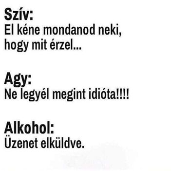 zenet !