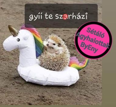 Gyí !