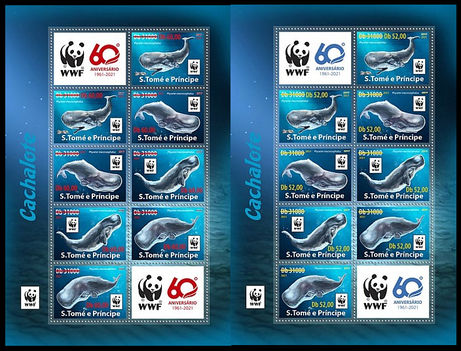 WWF bálnák