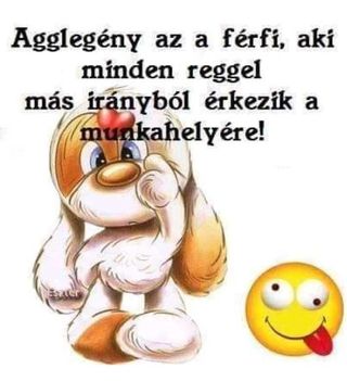 Agglegény !