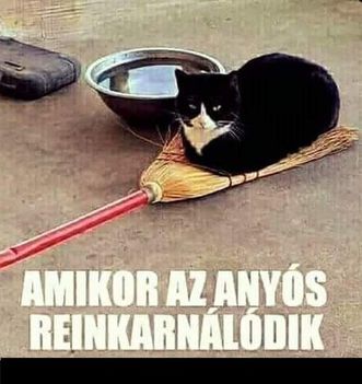 Anyós !